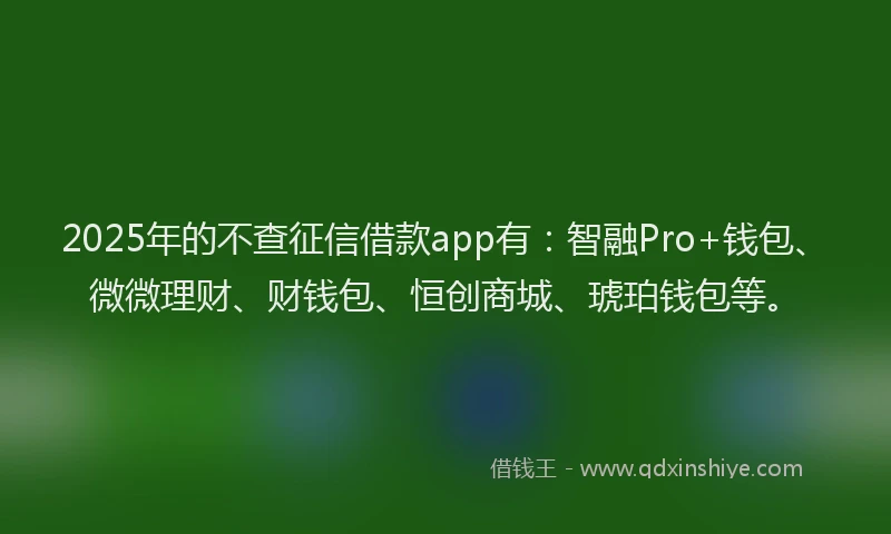 2025年的不查征信借款app有：智融Pro+钱包、微微理财、财钱包、恒创商城、琥珀钱包等。