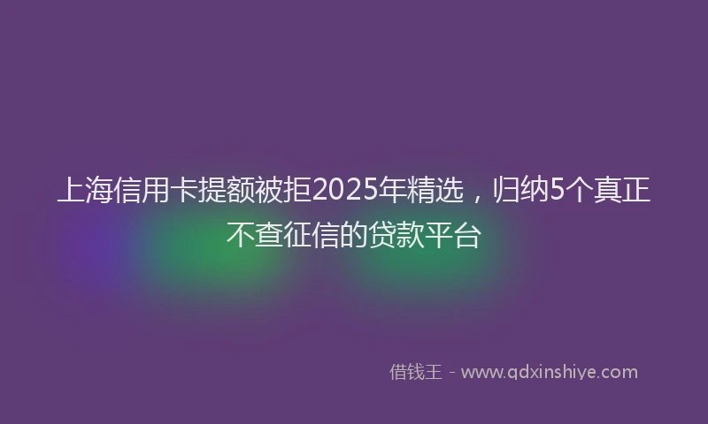 上海信用卡提额被拒2025年精选，归纳5个真正不查征信的贷款平台