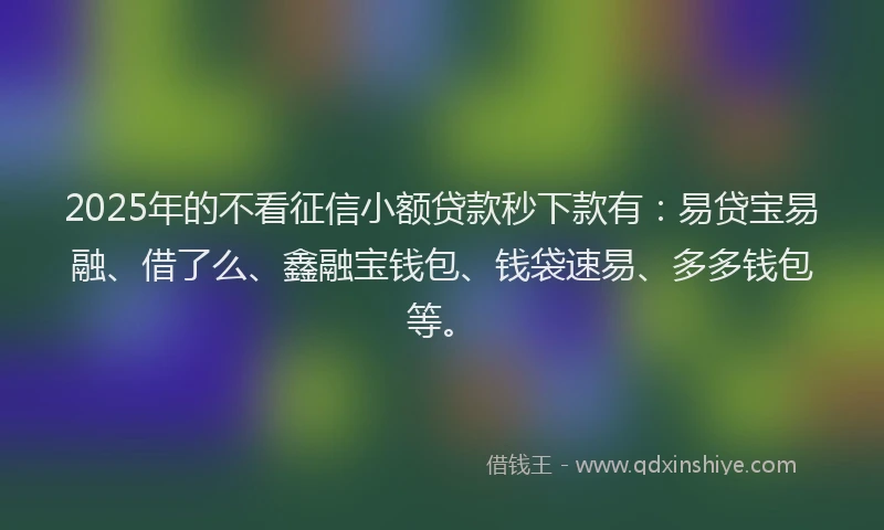 2025年的不看征信小额贷款秒下款有：易贷宝易融、借了么、鑫融宝钱包、钱袋速易、多多钱包等。