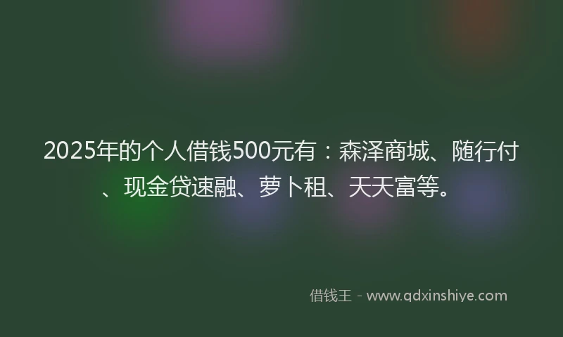 2025年的个人借钱500元有：森泽商城、随行付、现金贷速融、萝卜租、天天富等。