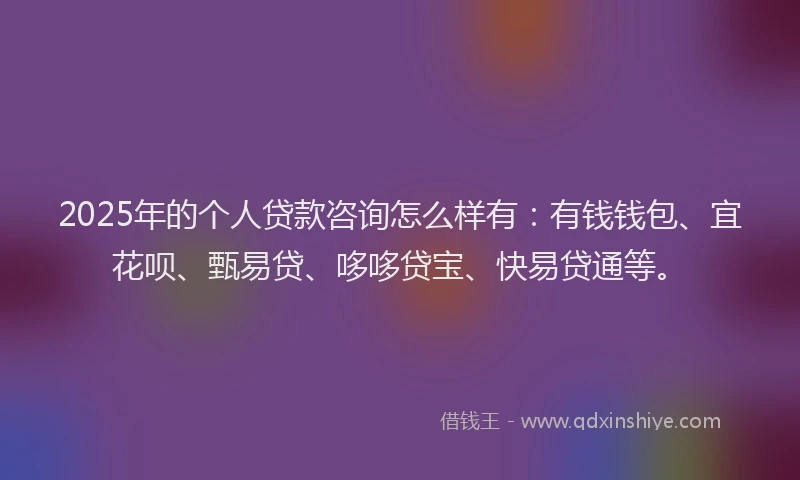 2025年的个人贷款咨询怎么样有：有钱钱包、宜花呗、甄易贷、哆哆贷宝、快易贷通等。
