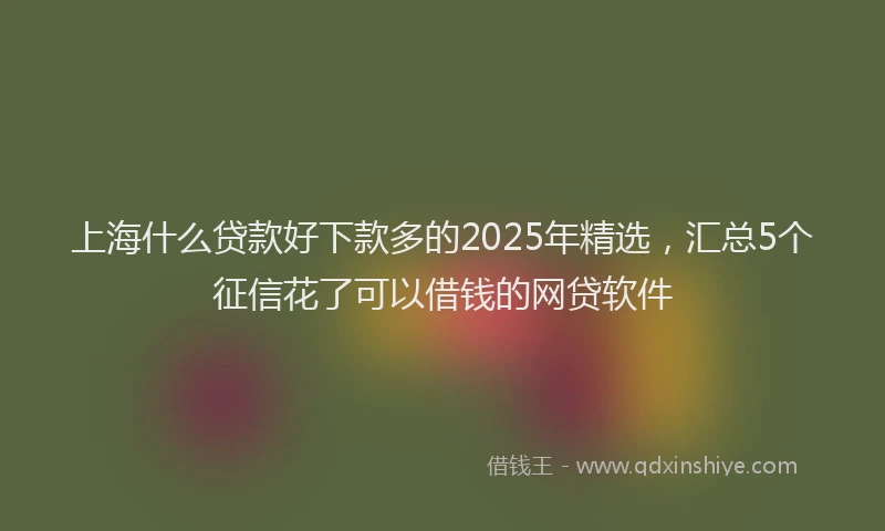 上海什么贷款好下款多的2025年精选，汇总5个征信花了可以借钱的网贷软件