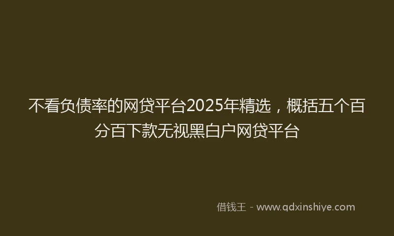 不看负债率的网贷平台2025年精选，概括五个百分百下款无视黑白户网贷平台