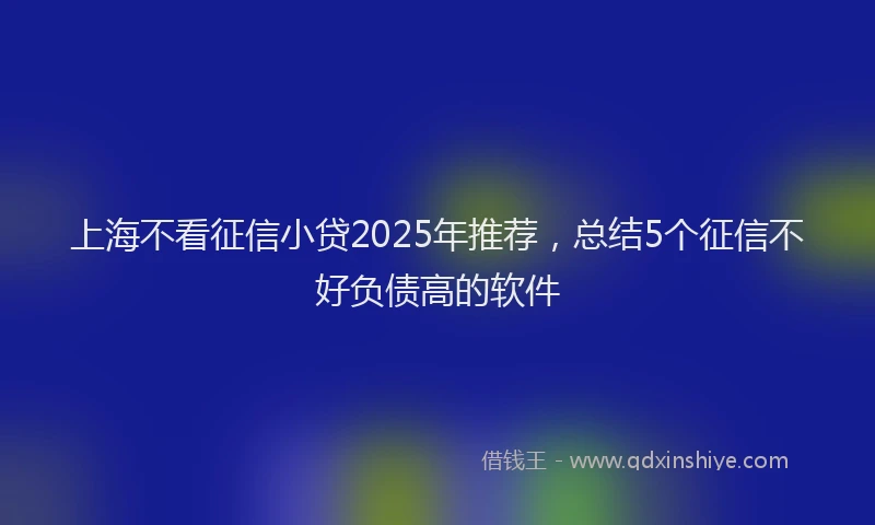上海不看征信小贷2025年推荐，总结5个征信不好负债高的软件