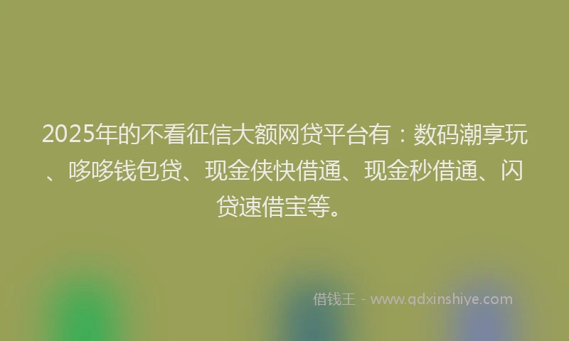 2025年的不看征信大额网贷平台有：数码潮享玩、哆哆钱包贷、现金侠快借通、现金秒借通、闪贷速借宝等。