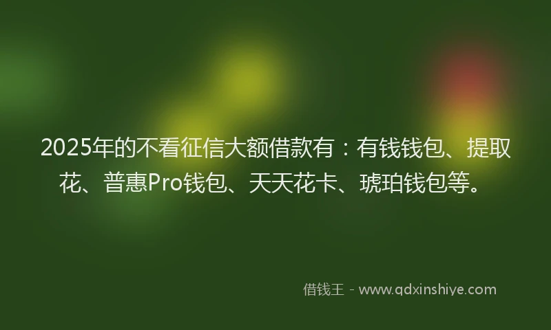 2025年的不看征信大额借款有：有钱钱包、提取花、普惠Pro钱包、天天花卡、琥珀钱包等。