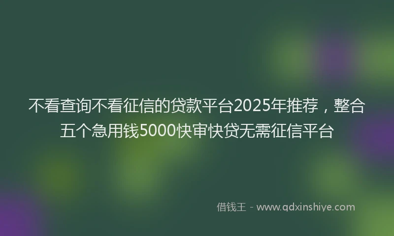 不看查询不看征信的贷款平台2025年推荐，整合五个急用钱5000快审快贷无需征信平台