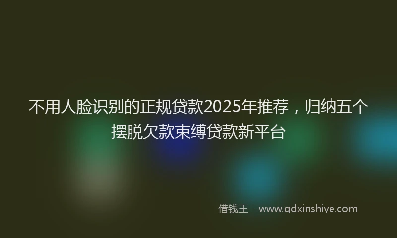 不用人脸识别的正规贷款2025年推荐，归纳五个摆脱欠款束缚贷款新平台