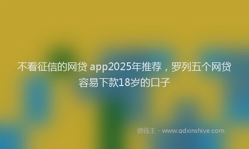 不看征信的网贷 app2025年推荐，罗列五个网贷容易下款18岁的口子