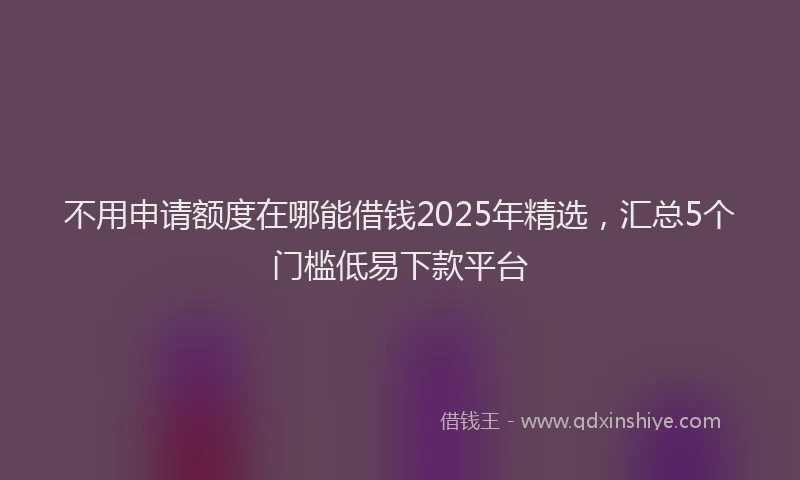 不用申请额度在哪能借钱2025年精选，汇总5个门槛低易下款平台