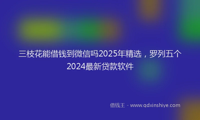 三枝花能借钱到微信吗2025年精选，罗列五个2024最新贷款软件