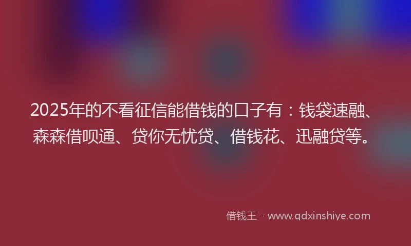 2025年的不看征信能借钱的口子有：钱袋速融、森森借呗通、贷你无忧贷、借钱花、迅融贷等。