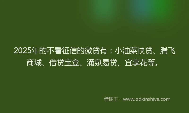 2025年的不看征信的微贷有：小油菜快贷、腾飞商城、借贷宝盒、涌泉易贷、宜享花等。