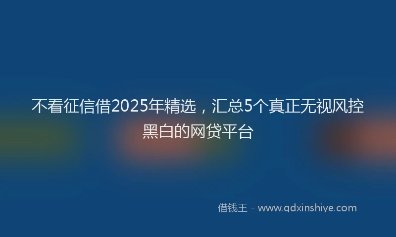 不看征信借2025年精选，汇总5个真正无视风控黑白的网贷平台