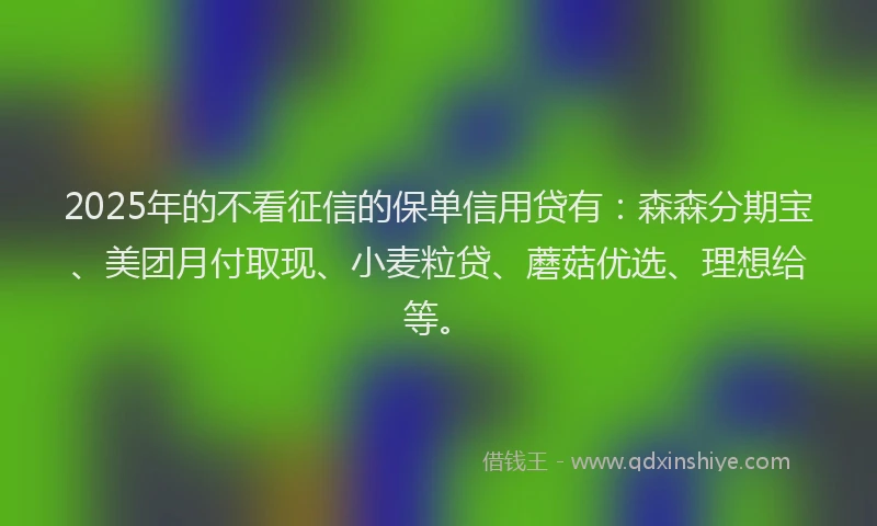2025年的不看征信的保单信用贷有：森森分期宝、美团月付取现、小麦粒贷、蘑菇优选、理想给等。