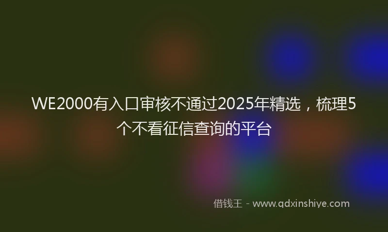 WE2000有入口审核不通过2025年精选，梳理5个不看征信查询的平台