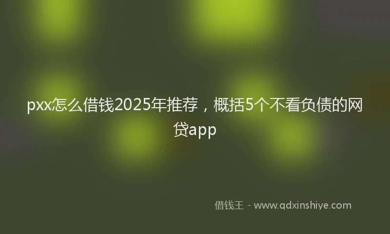 pxx怎么借钱2025年推荐，概括5个不看负债的网贷app