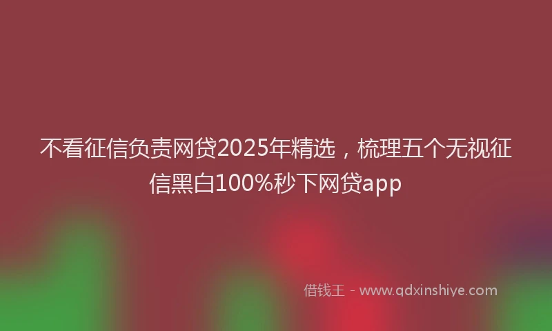 不看征信负责网贷2025年精选，梳理五个无视征信黑白100%秒下网贷app