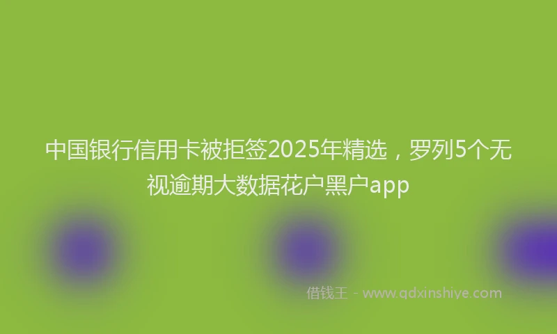 中国银行信用卡被拒签2025年精选，罗列5个无视逾期大数据花户黑户app