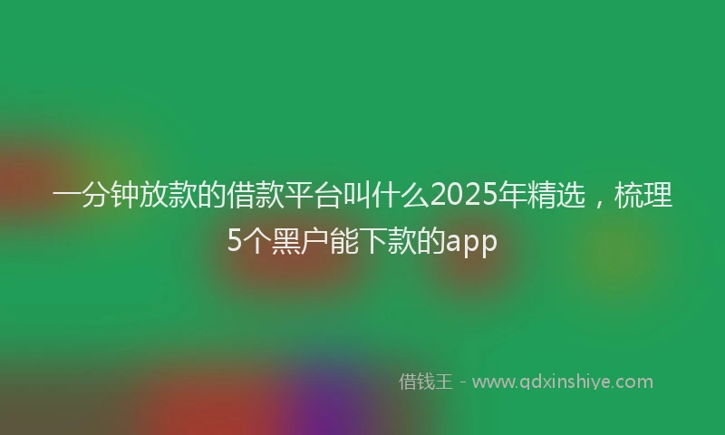 一分钟放款的借款平台叫什么2025年精选，梳理5个黑户能下款的app