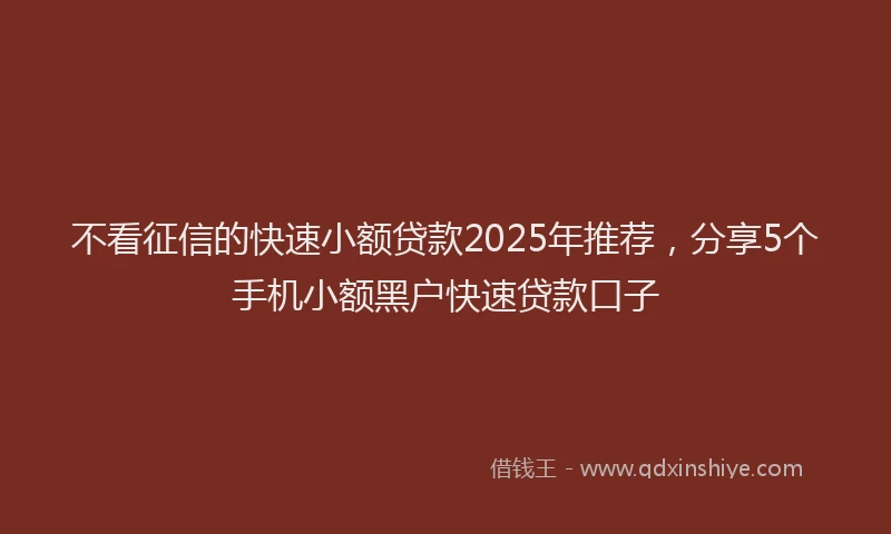 不看征信的快速小额贷款2025年推荐，分享5个手机小额黑户快速贷款口子
