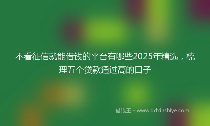 不看征信就能借钱的平台有哪些2025年精选，梳理五个贷款通过高的口子
