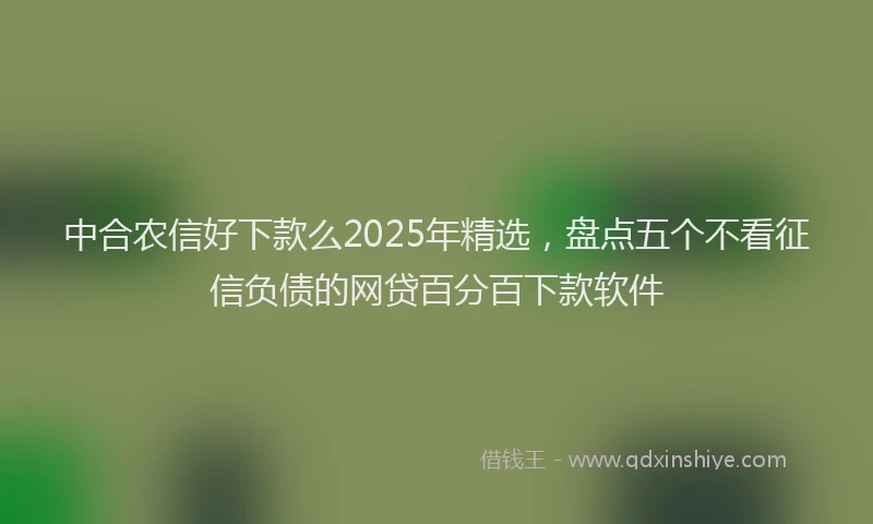 中合农信好下款么2025年精选，盘点五个不看征信负债的网贷百分百下款软件