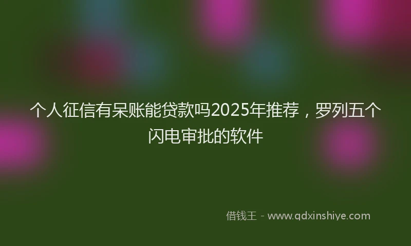 个人征信有呆账能贷款吗2025年推荐，罗列五个闪电审批的软件