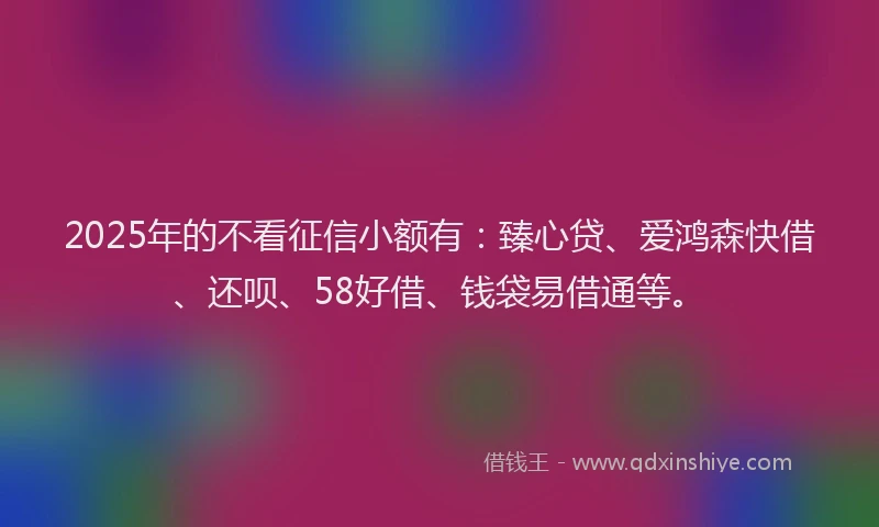 2025年的不看征信小额有：臻心贷、爱鸿森快借、还呗、58好借、钱袋易借通等。