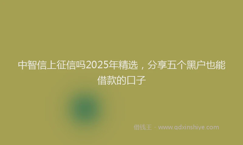 中智信上征信吗2025年精选，分享五个黑户也能借款的口子