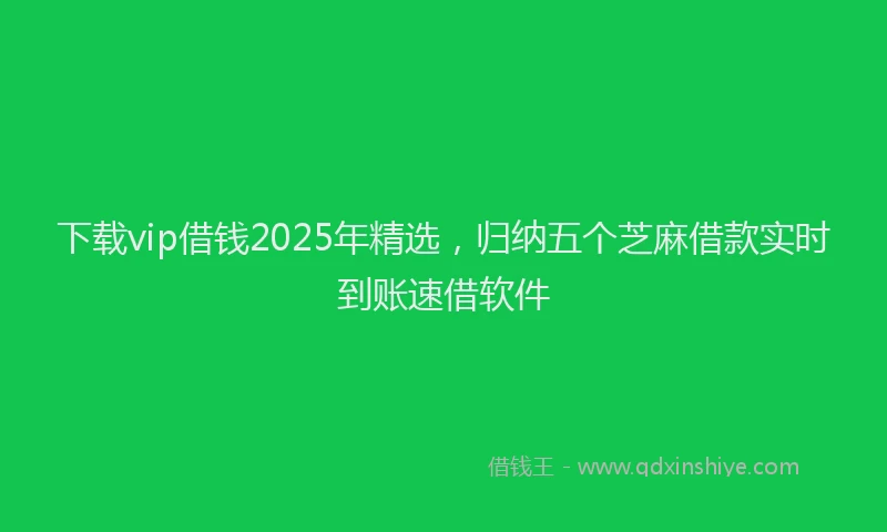下载vip借钱2025年精选，归纳五个芝麻借款实时到账速借软件