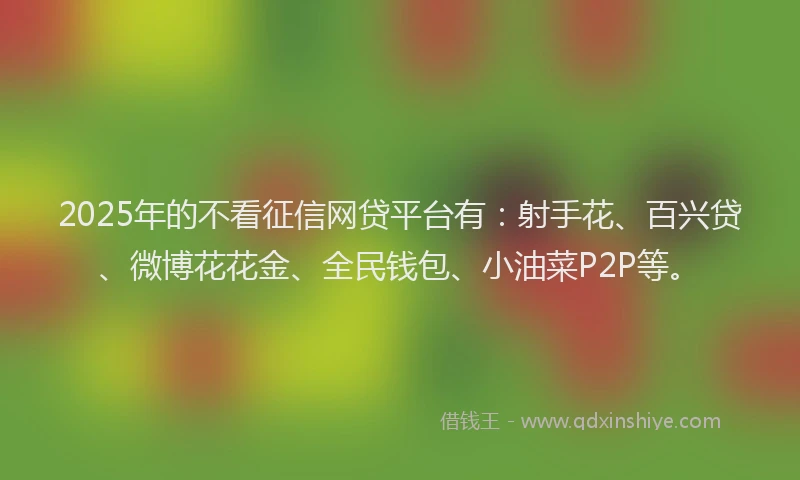 2025年的不看征信网贷平台有：射手花、百兴贷、微博花花金、全民钱包、小油菜P2P等。