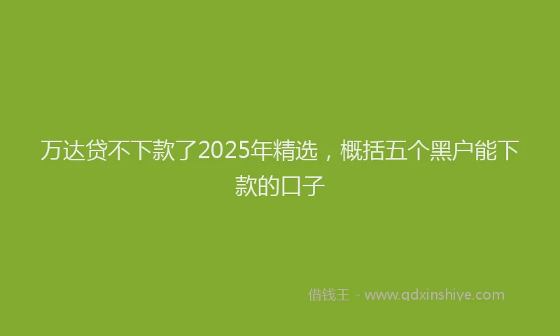 万达贷不下款了2025年精选，概括五个黑户能下款的口子
