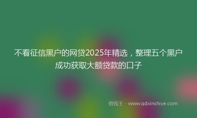 不看征信黑户的网贷2025年精选，整理五个黑户成功获取大额贷款的口子
