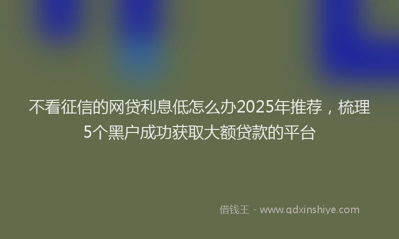 不看征信的网贷利息低怎么办2025年推荐，梳理5个黑户成功获取大额贷款的平台