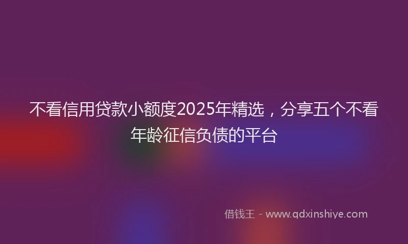 不看信用贷款小额度2025年精选，分享五个不看年龄征信负债的平台
