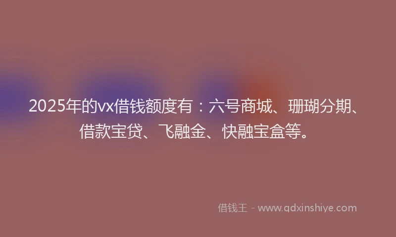 2025年的vx借钱额度有：六号商城、珊瑚分期、借款宝贷、飞融金、快融宝盒等。
