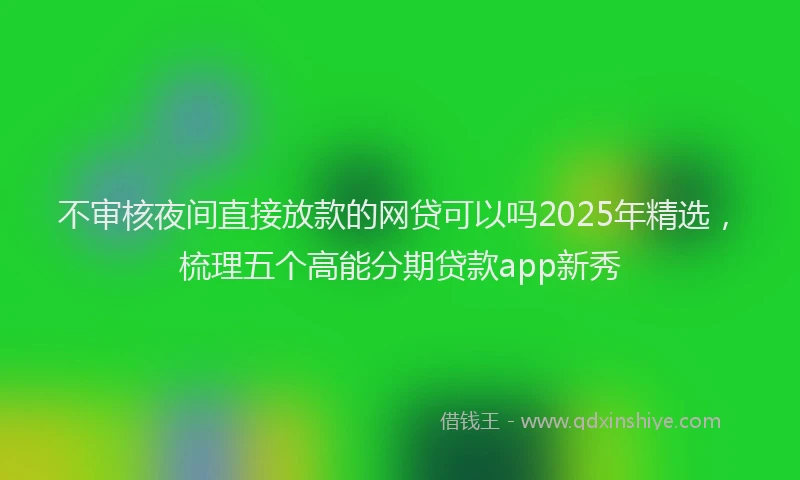 不审核夜间直接放款的网贷可以吗2025年精选，梳理五个高能分期贷款app新秀