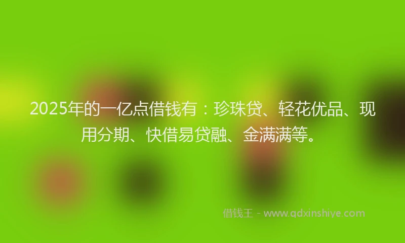 2025年的一亿点借钱有：珍珠贷、轻花优品、现用分期、快借易贷融、金满满等。