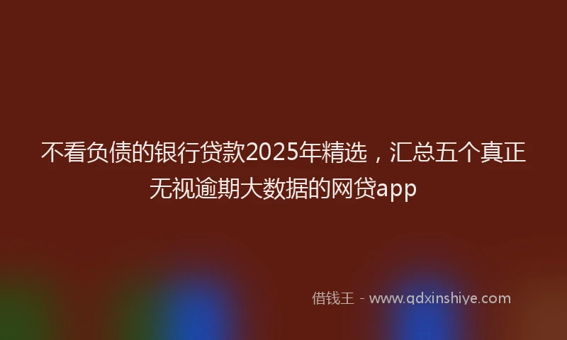 不看负债的银行贷款2025年精选，汇总五个真正无视逾期大数据的网贷app