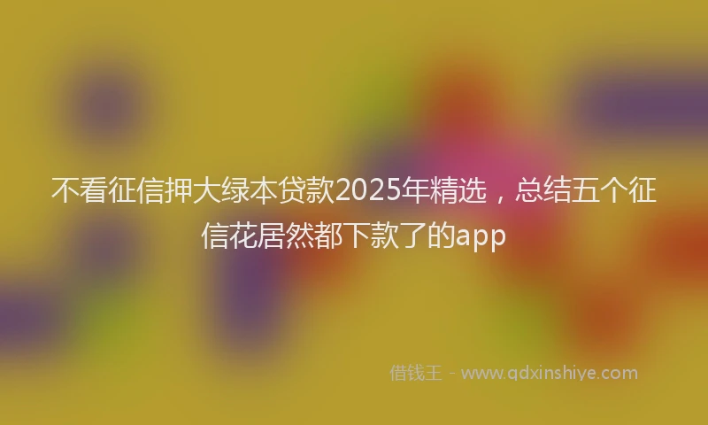 不看征信押大绿本贷款2025年精选，总结五个征信花居然都下款了的app