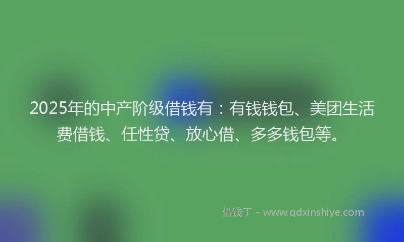 2025年的中产阶级借钱有：有钱钱包、美团生活费借钱、任性贷、放心借、多多钱包等。