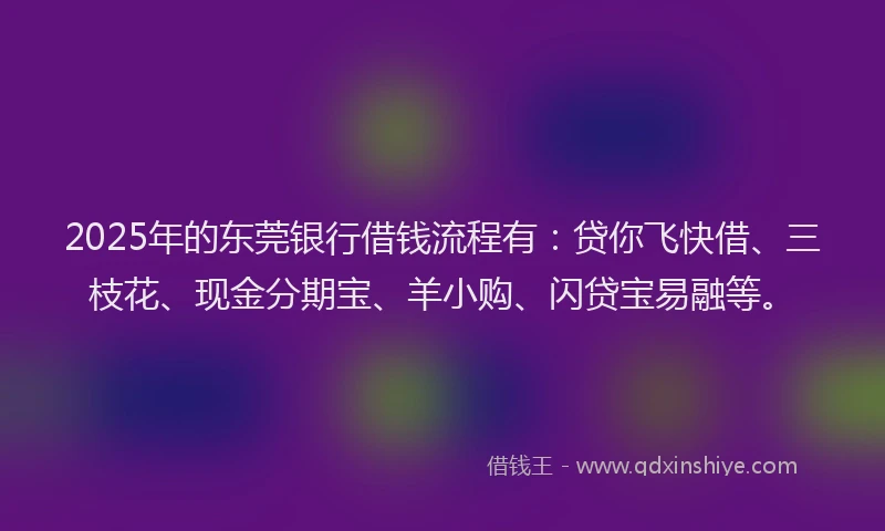 2025年的东莞银行借钱流程有：贷你飞快借、三枝花、现金分期宝、羊小购、闪贷宝易融等。