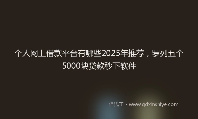 个人网上借款平台有哪些2025年推荐，罗列五个5000块贷款秒下软件