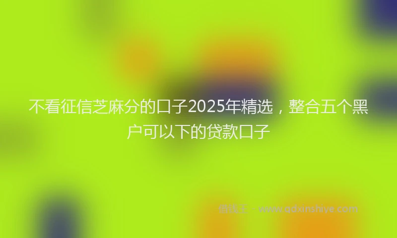不看征信芝麻分的口子2025年精选，整合五个黑户可以下的贷款口子