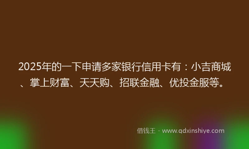 2025年的一下申请多家银行信用卡有：小吉商城、掌上财富、天天购、招联金融、优投金服等。