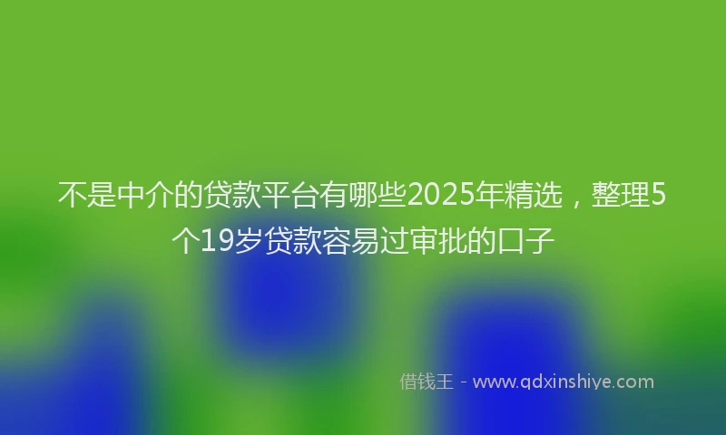不是中介的贷款平台有哪些2025年精选，整理5个19岁贷款容易过审批的口子