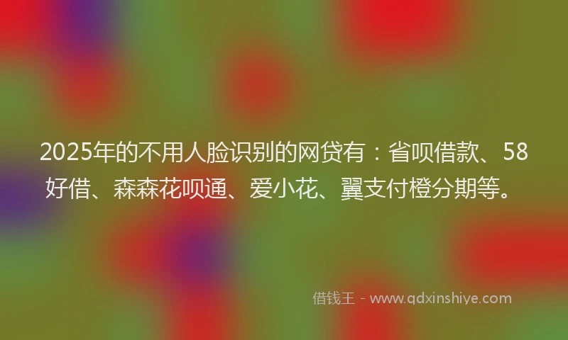 2025年的不用人脸识别的网贷有：省呗借款、58好借、森森花呗通、爱小花、翼支付橙分期等。