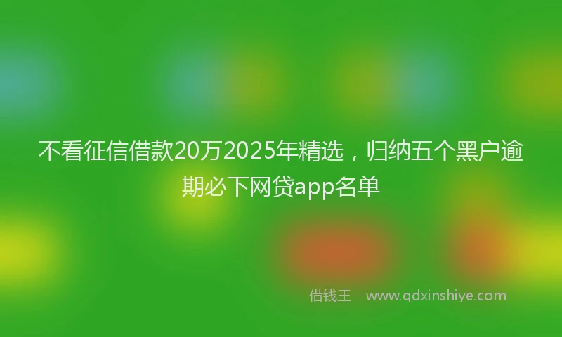 不看征信借款20万2025年精选，归纳五个黑户逾期必下网贷app名单