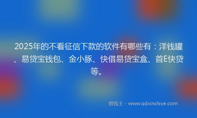 2025年的不看征信下款的软件有哪些有：洋钱罐、易贷宝钱包、金小豚、快借易贷宝盒、首E快贷等。
